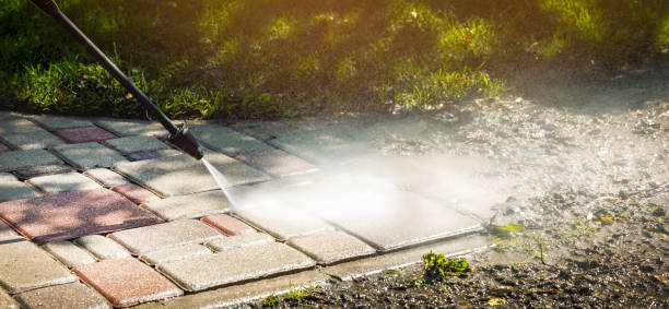 Best House Exterior Washing  in Blakely, PA